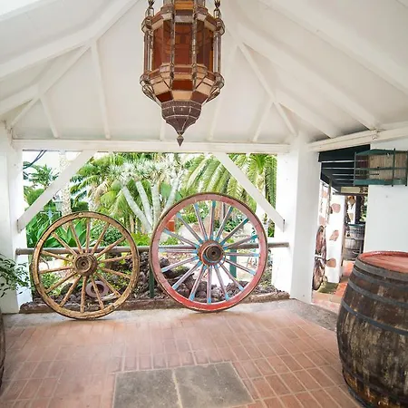 Los Pinos Vila La Matanza De Acentejo